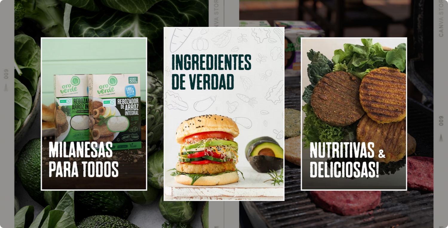 Imagen 5